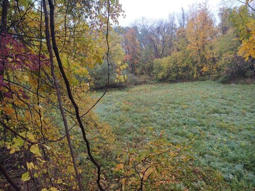 IMG_20201019_165755414.jpeg