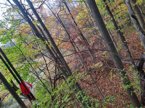 IMG_20201024_162201288_HDR.jpeg