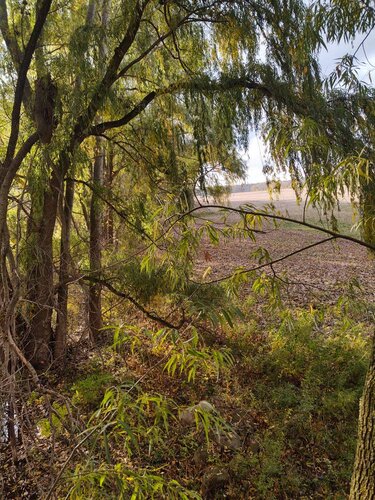 IMG_20201028_162316634_HDR.jpeg