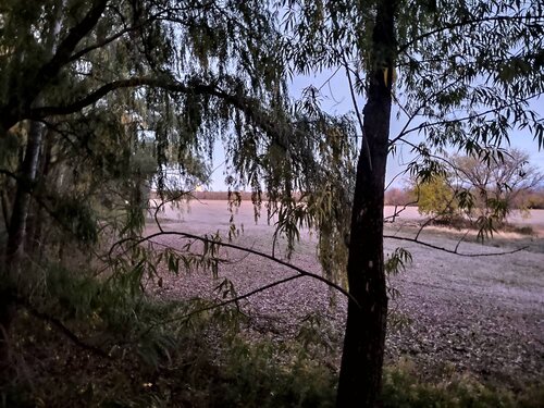 IMG_20201031_072320118.jpeg