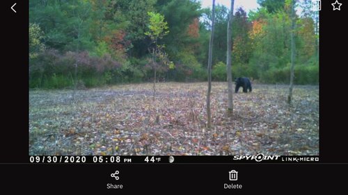 IMG_6131.JPG