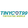 tinycat99world