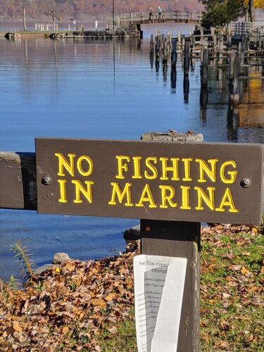 1108201227_HDR.jpg