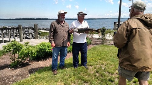 IMG_20170529_144041536 (004).jpg