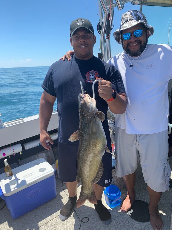 What’s everyone’s favorite walleye trolling rod and reel setup