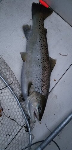 20201105_180052.jpg