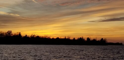 20201106_174928.jpg