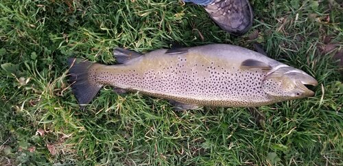 20201108_175158.jpg