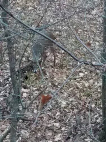 20201124_164324.jpeg