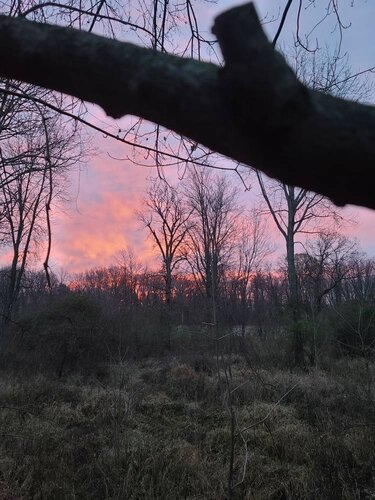 20201125_070901.jpeg