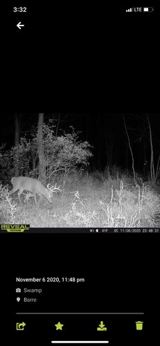 IMG_1840.JPG
