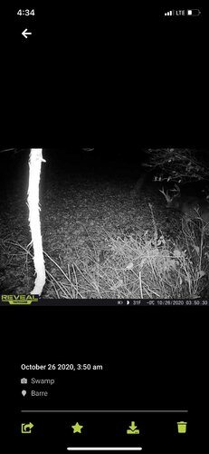IMG_1905.JPG