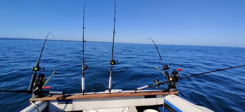 IMG_20200620_084816.jpg