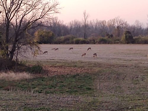 IMG_20201031_181936832.jpeg