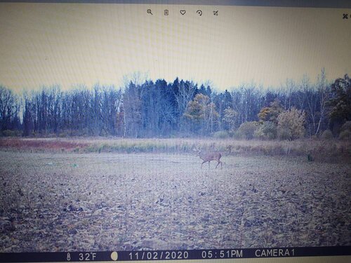 IMG_20201105_042427557.jpeg
