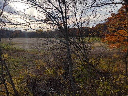 IMG_20201105_151837928_HDR.jpeg