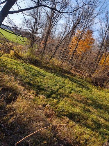 IMG_20201107_090950478_HDR.jpeg