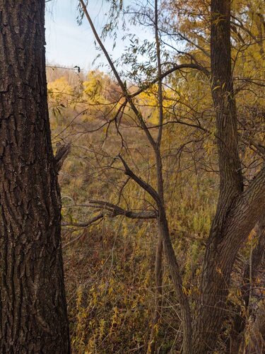 IMG_20201107_160543578_HDR.jpeg