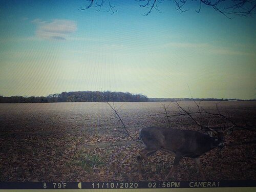 IMG_20201120_165801521.jpeg