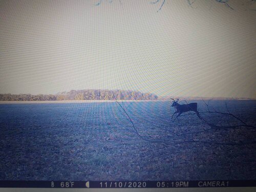 IMG_20201120_165813034.jpeg