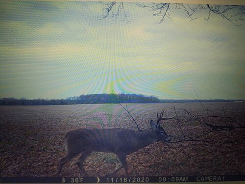 IMG_20201120_165946777.jpeg