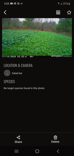 Screenshot_20201115-170531_SPYPOINT.thumb.jpg.75606d726d58ad5464528c2431a60692.jpg