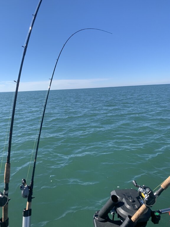 What's everyone's favorite walleye trolling rod and reel setup? - Walleye -  Lake Ontario United - Lake Ontario's Largest Fishing & Hunting Community -  New York and Ontario Canada