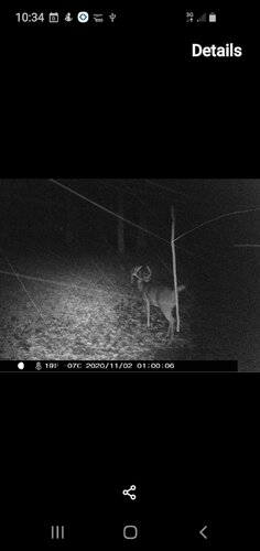 received_1312235789144249.jpeg