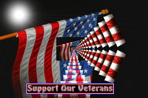 vetsalute.jpg