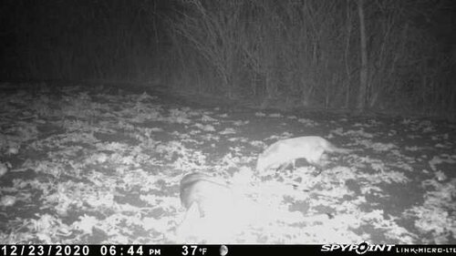 IMG_1908.JPG