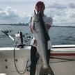 Reel Mania Sportfishing