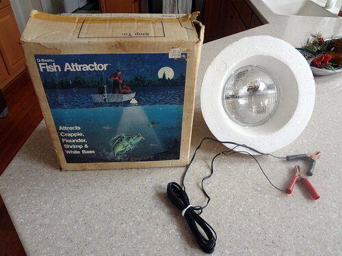 fishlight.jpg