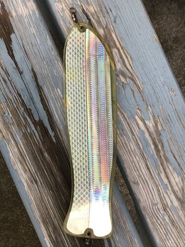 kingfish2.JPG