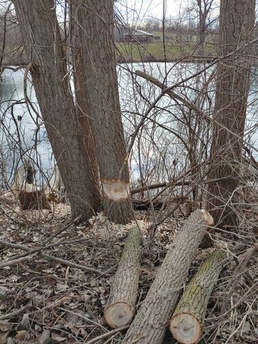 0109211221_HDR.thumb.jpg.ec862088591f197c0be803830630838f.jpg