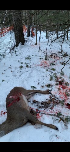 IMG_7392.JPG