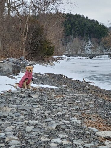 0207211231b_HDR.jpg