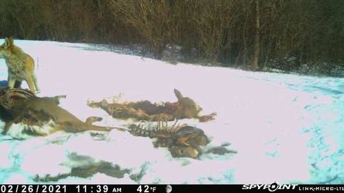 IMG_2152.JPG