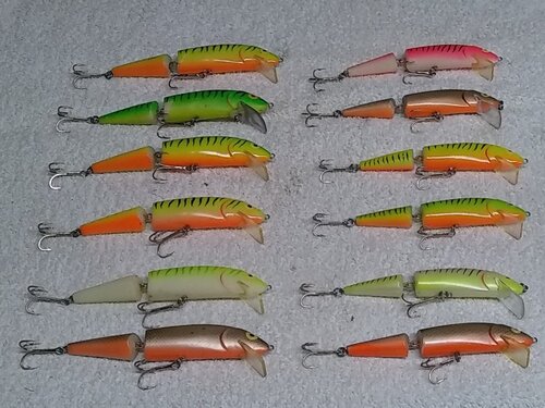 1854834327_FinnigansMinnow.thumb.jpg.aa8fa4f4c30e722c7fcbb3d54d27a1dc.jpg