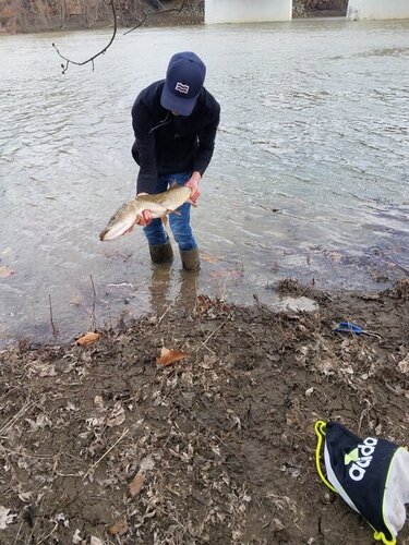 Pike release - 32.jpg