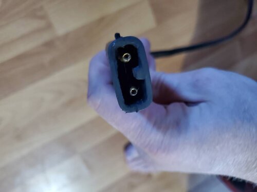 20210329_183754.jpeg