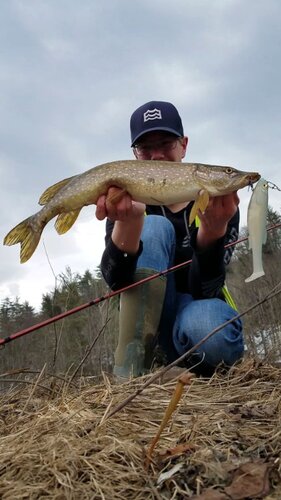 Pike full - 24(1).jpg