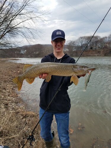 Pike full - 28(2).jpg