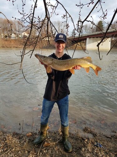 Pike full - 32(1).jpg