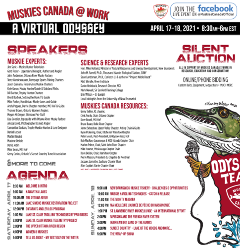 OnePage_Info-01.png