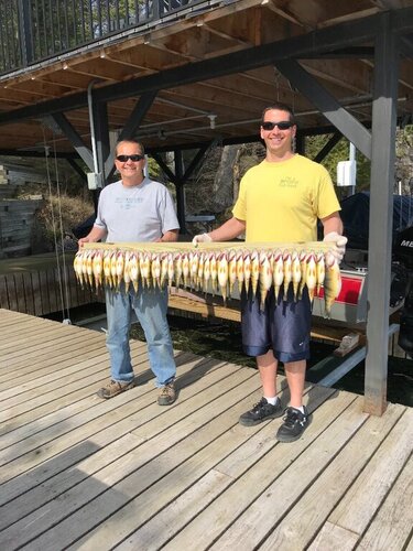 1019448611_perchfishing2.thumb.jpg.63433ccc63d03237b64e005704c26b98.jpg