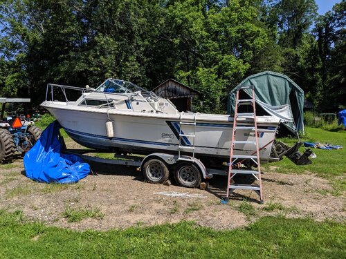 IMG_20190727_105506.jpg