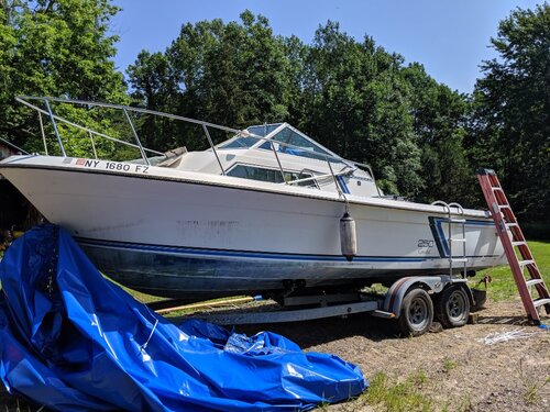 IMG_20190727_105520.jpg