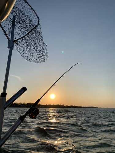 IMG_2596.JPG