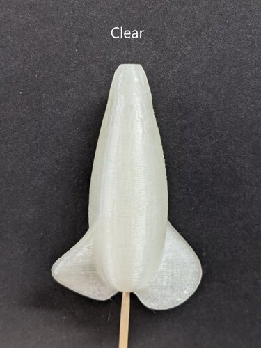 PXL_20210214_182334936.jpg