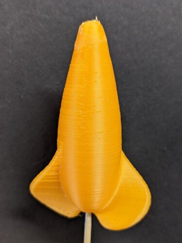 PXL_20210214_183010079.jpg